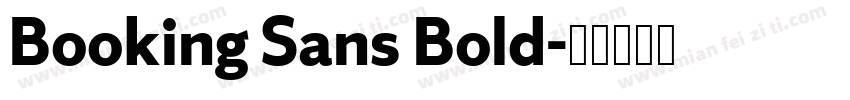 Booking Sans Bold字体转换